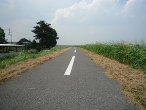 江戸川サイクリングコース