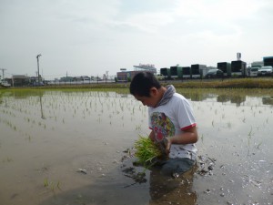 01 田植